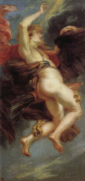 Peter Paul Rubens The Abduction fo Ganymede Spain oil painting art